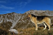 Autunnale in CIMA MENNA (2300 m) da Zorzone ad anello con discesa dal Chignol d’Arale il 25 ott. 2018- FOTOGALLERY